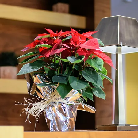 Hospedium Casino Del Tormes מלון 4*